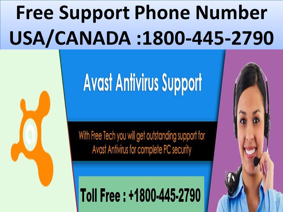 Free Support Phone Number USA/CANADA :