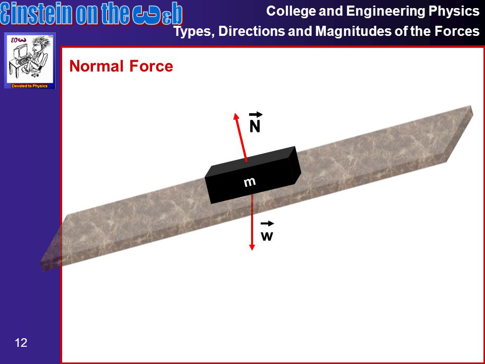 College and Engineering Physics Types, Directions and Magnitudes of the Forces 12 Normal Force m N m N w