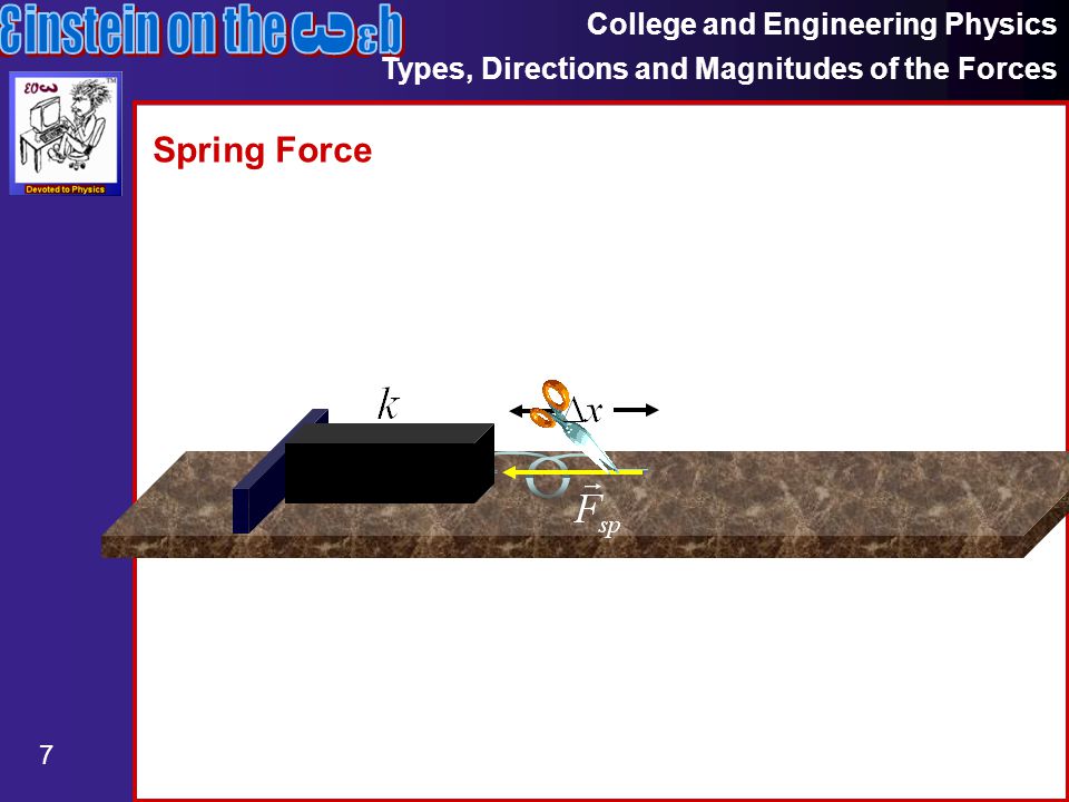 College and Engineering Physics Types, Directions and Magnitudes of the Forces 7 Spring Force