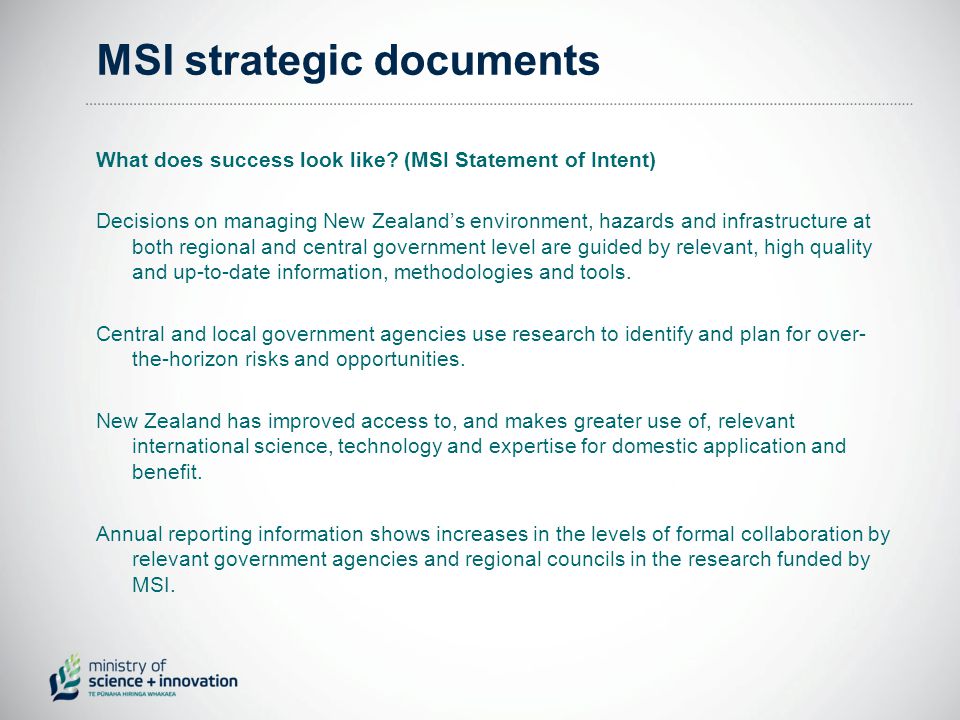 MSI strategic documents What does success look like.