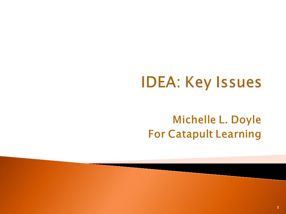 Michelle L. Doyle For Catapult Learning 1