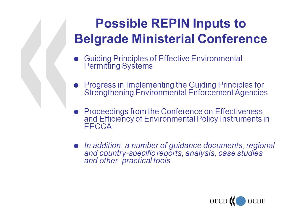 Possible REPIN Inputs to Belgrade Ministerial Conference  Guiding Principles of Effective Environmental Permitting Systems  Progress in Implementing the Guiding Principles for Strengthening Environmental Enforcement Agencies  Proceedings from the Conference on Effectiveness and Efficiency of Environmental Policy Instruments in EECCA  In addition: a number of guidance documents, regional and country-specific reports, analysis, case studies and other practical tools