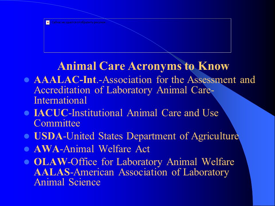 What is AAALAC International?. What is AAALAC Int.? Accreditation and  assessment for animal care and use programs. Completely voluntary and  confidential. - ppt download