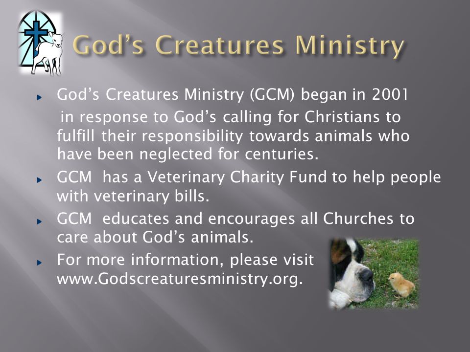 God’s Creatures Ministry God’s Creatures Ministry