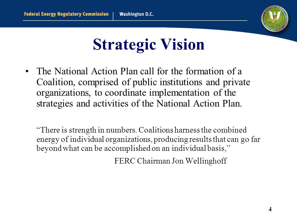 4 Strategic Vision The National Action Plan call for the formation of a Coalition, comprised of public institutions and private organizations, to coordinate implementation of the strategies and activities of the National Action Plan.