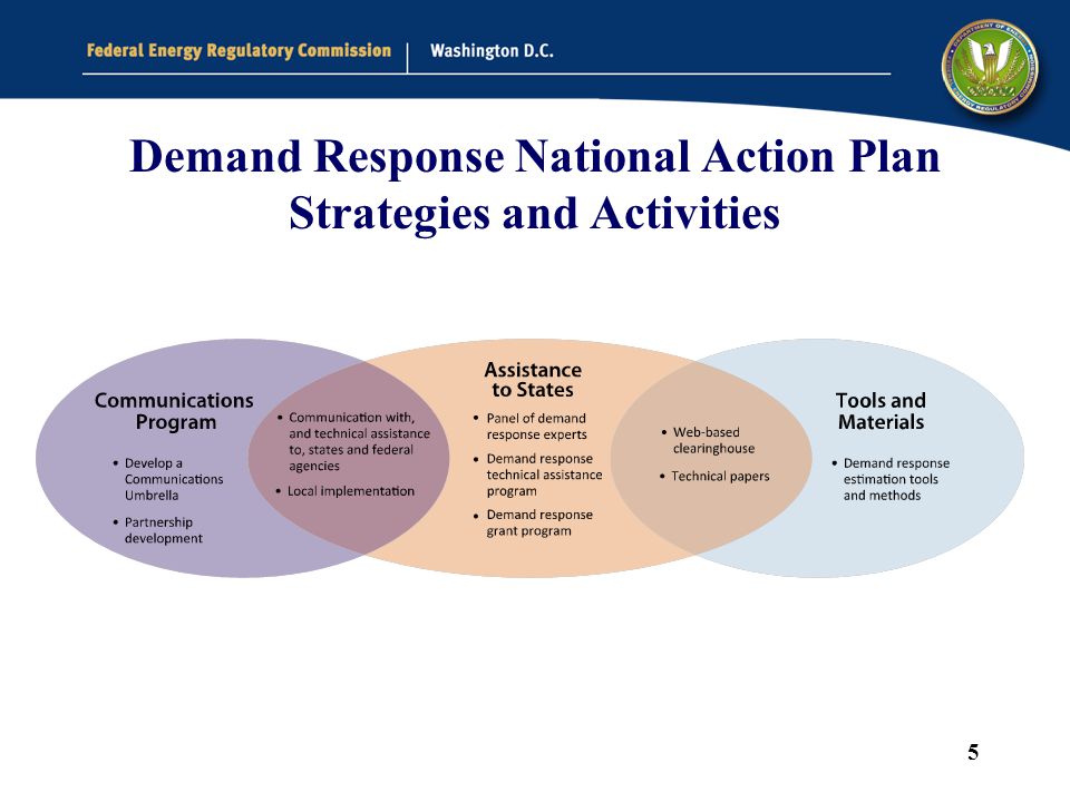 5 Demand Response National Action Plan Strategies and Activities