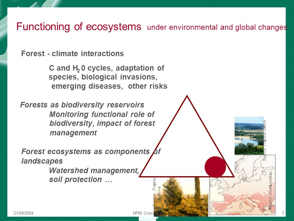 21/09/2004NFRI Concept Paper7 Functioning of ecosystems under environmental and global changes Source: Fran ç ois Lef è vre Source : Fran ç ois Lef è vre Source: Denis Loustau Forest - climate interactions C and H 2 0 cycles, adaptation of species, biological invasions, emerging diseases, other risks Forests as biodiversity reservoirs Monitoring functional role of biodiversity, impact of forest management Forest ecosystems as components of landscapes Watershed management, soil protection …