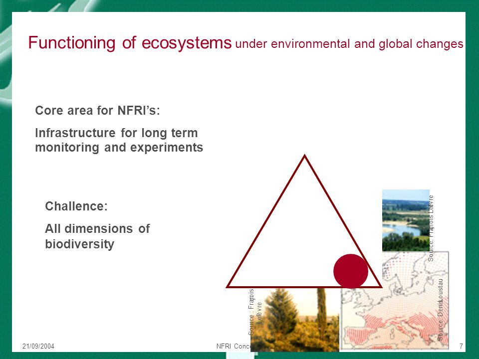 21/09/2004NFRI Concept Paper7 Functioning of ecosystems under environmental and global changes Source: Fran ç ois Lef è vre Source : Fran ç ois Lef è vre Source: Denis Loustau Core area for NFRI’s: Infrastructure for long term monitoring and experiments Challence: All dimensions of biodiversity