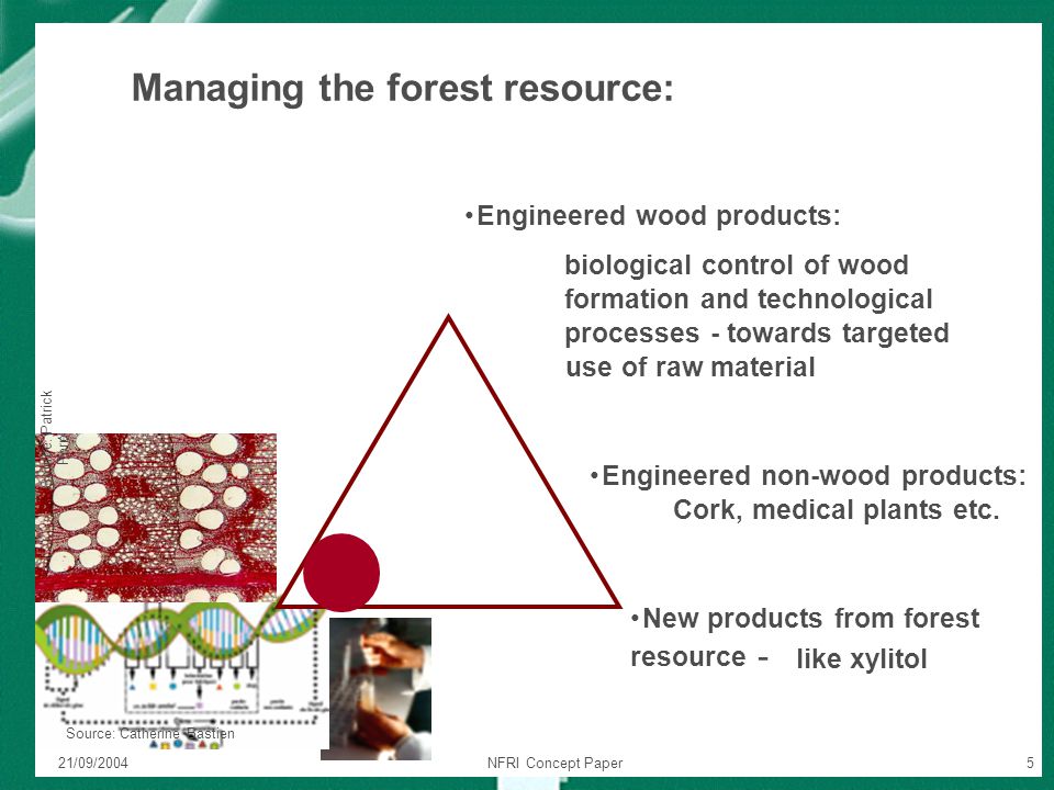 21/09/2004NFRI Concept Paper5 Source: Patrick Perr é Source: Catherine Bastien Engineered wood products: biological control of wood formation and technological processes - towards targeted use of raw material Managing the forest resource: Engineered non-wood products: Cork, medical plants etc.