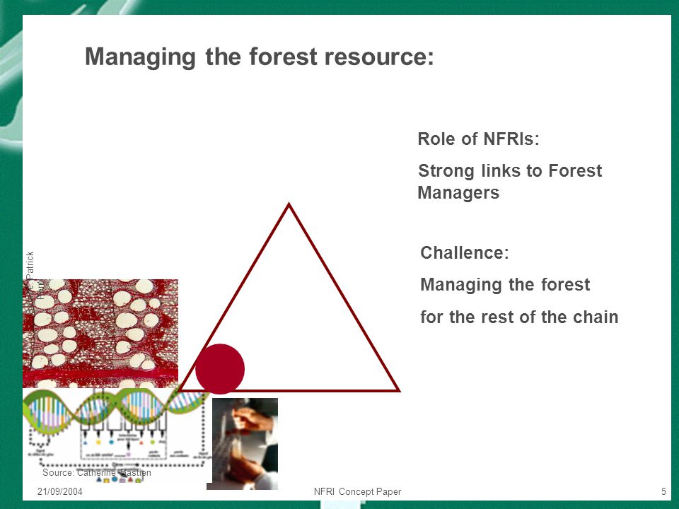 21/09/2004NFRI Concept Paper5 Source: Patrick Perr é Source: Catherine Bastien Role of NFRIs: Strong links to Forest Managers Managing the forest resource: Challence: Managing the forest for the rest of the chain