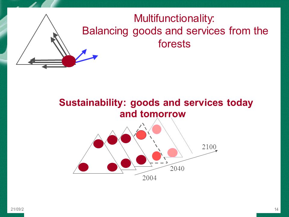 21/09/2004NFRI Concept Paper14 Multifunctionality: Balancing goods and services from the forests 21/09/2004NFRI Concept Paper10 Sustainability: goods and services today and tomorrow