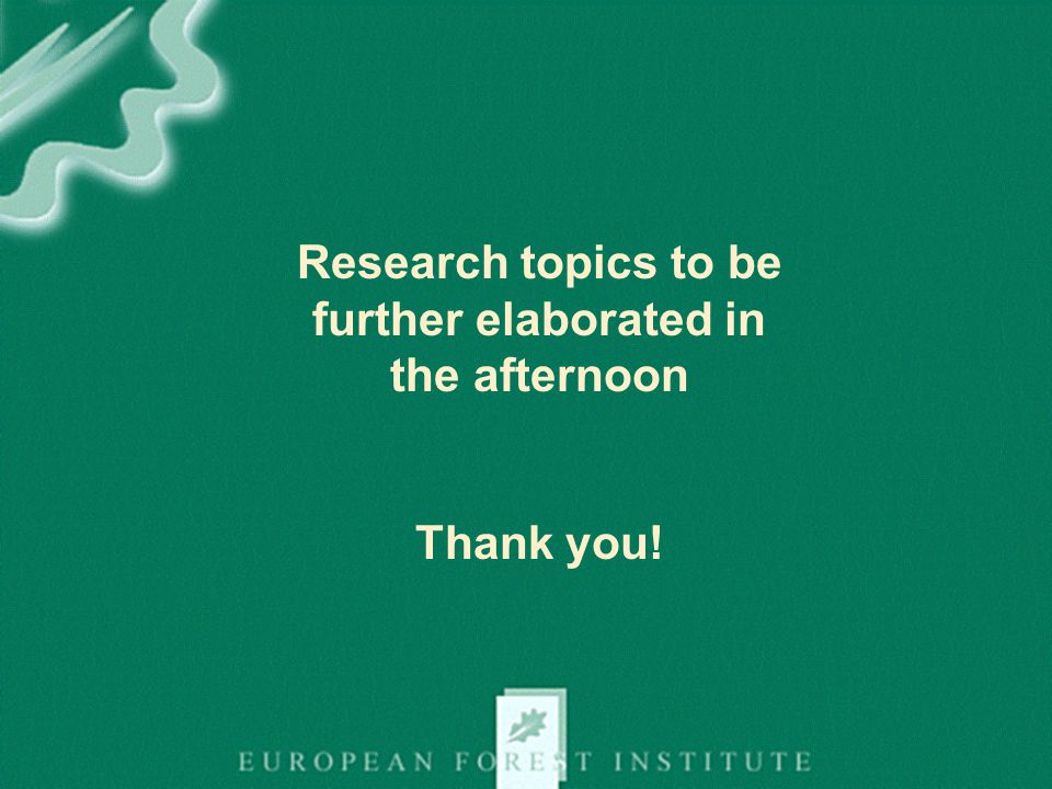Research topics to be further elaborated in the afternoon Thank you!