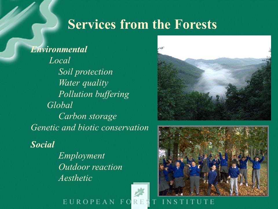 Services from the Forests Environmental Local Soil protection Water quality Pollution buffering Global Carbon storage Genetic and biotic conservation Social Employment Outdoor reaction Aesthetic