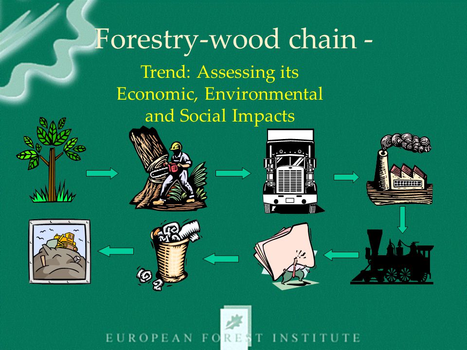 Forestry-wood chain - Trend: Assessing its Economic, Environmental and Social Impacts