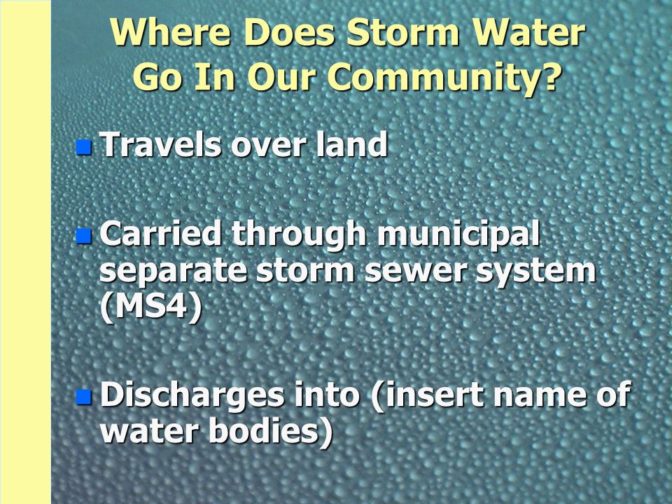 Where Does Storm Water Go In Our Community.