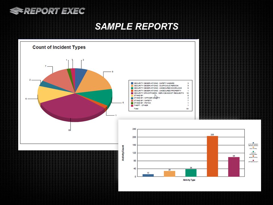 SAMPLE REPORTS