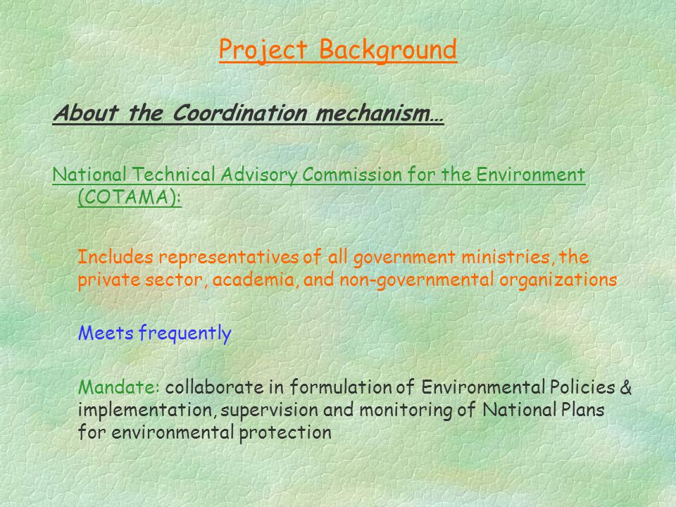 Project Background About the Coordination mechanism… National Technical Advisory Commission for the Environment (COTAMA): Includes representatives of all government ministries, the private sector, academia, and non-governmental organizations Meets frequently Mandate: collaborate in formulation of Environmental Policies & implementation, supervision and monitoring of National Plans for environmental protection