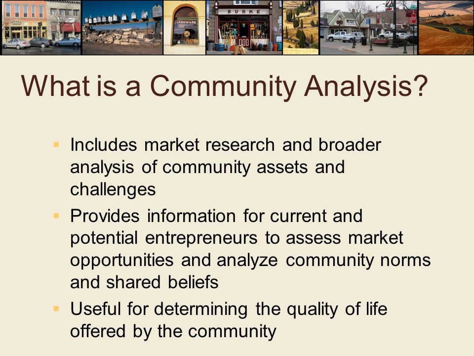 What is a Community Analysis.