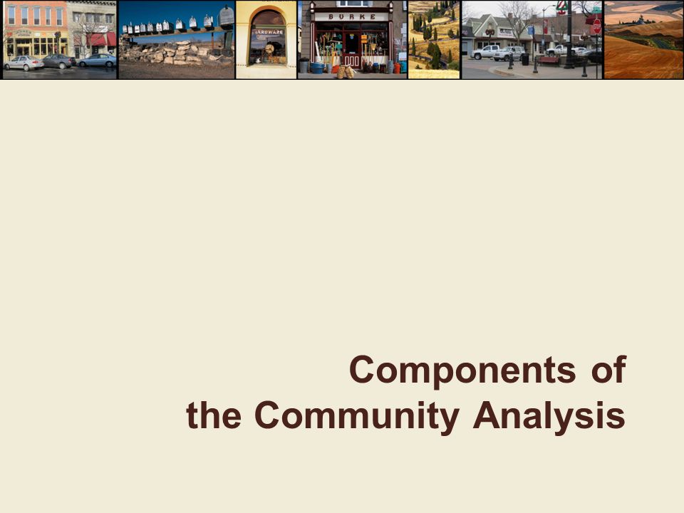 Components of the Community Analysis