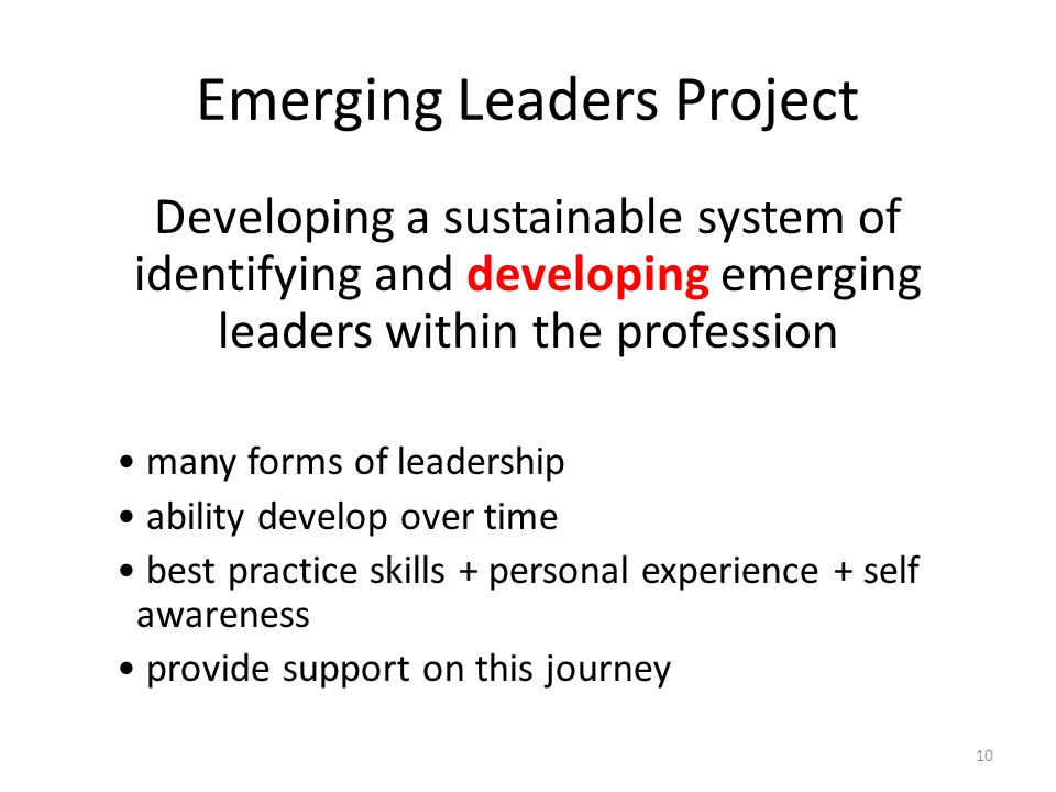 Emerging Leaders Project Developing a sustainable system of identifying and developing emerging leaders within the profession many forms of leadership ability develop over time best practice skills + personal experience + self awareness provide support on this journey 10