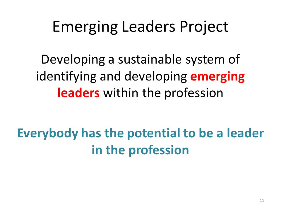 Emerging Leaders Project Developing a sustainable system of identifying and developing emerging leaders within the profession Everybody has the potential to be a leader in the profession 11