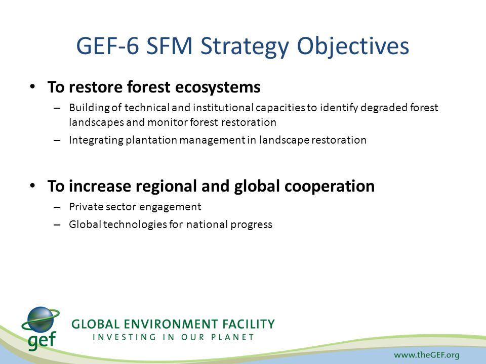 GEF-6 SFM Strategy Objectives To restore forest ecosystems – Building of technical and institutional capacities to identify degraded forest landscapes and monitor forest restoration – Integrating plantation management in landscape restoration To increase regional and global cooperation – Private sector engagement – Global technologies for national progress