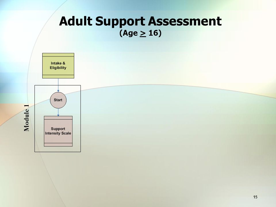 15 Adult Support Assessment (Age > 16) Module 1