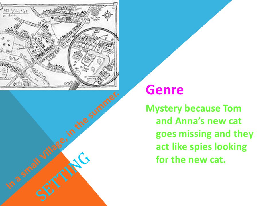SETTING Genre Mystery because Tom and Anna’s new cat goes missing and they act like spies looking for the new cat.