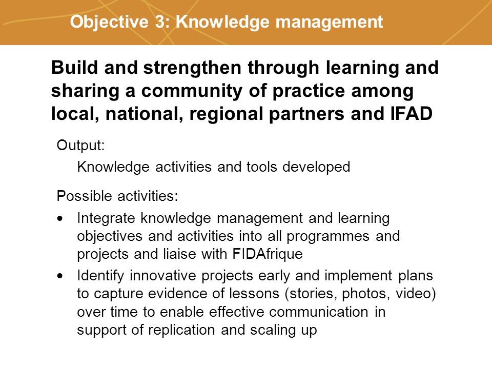 Farmers’ organizations, policies and markets Objective 3: Knowledge management Output: Knowledge activities and tools developed Possible activities:  Integrate knowledge management and learning objectives and activities into all programmes and projects and liaise with FIDAfrique  Identify innovative projects early and implement plans to capture evidence of lessons (stories, photos, video) over time to enable effective communication in support of replication and scaling up Build and strengthen through learning and sharing a community of practice among local, national, regional partners and IFAD