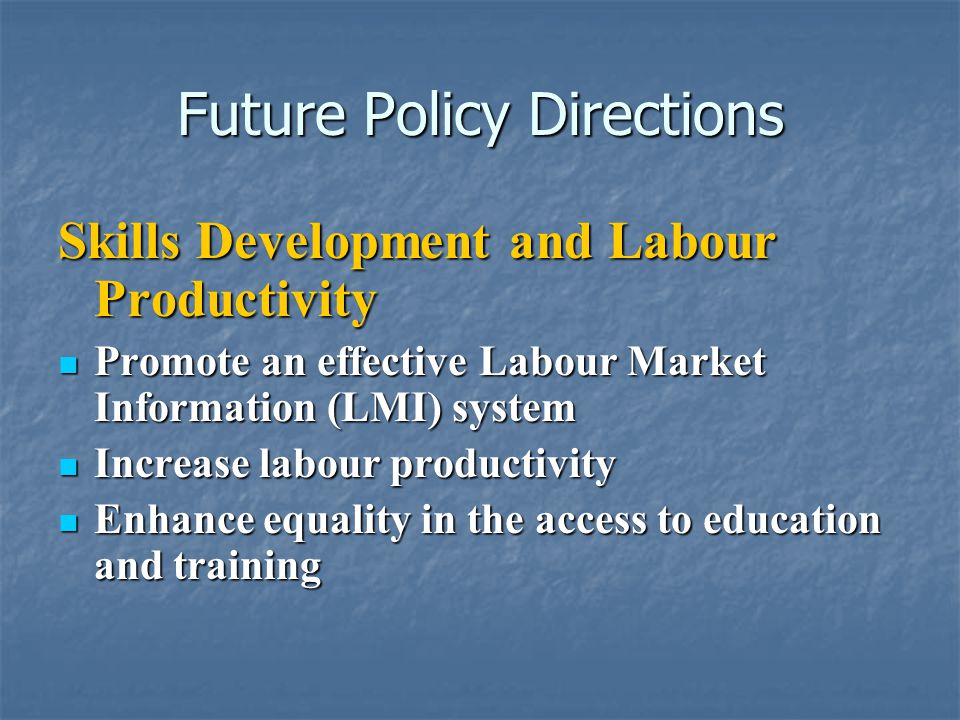 Future Policy Directions Skills Development and Labour Productivity Promote an effective Labour Market Information (LMI) system Promote an effective Labour Market Information (LMI) system Increase labour productivity Increase labour productivity Enhance equality in the access to education and training Enhance equality in the access to education and training