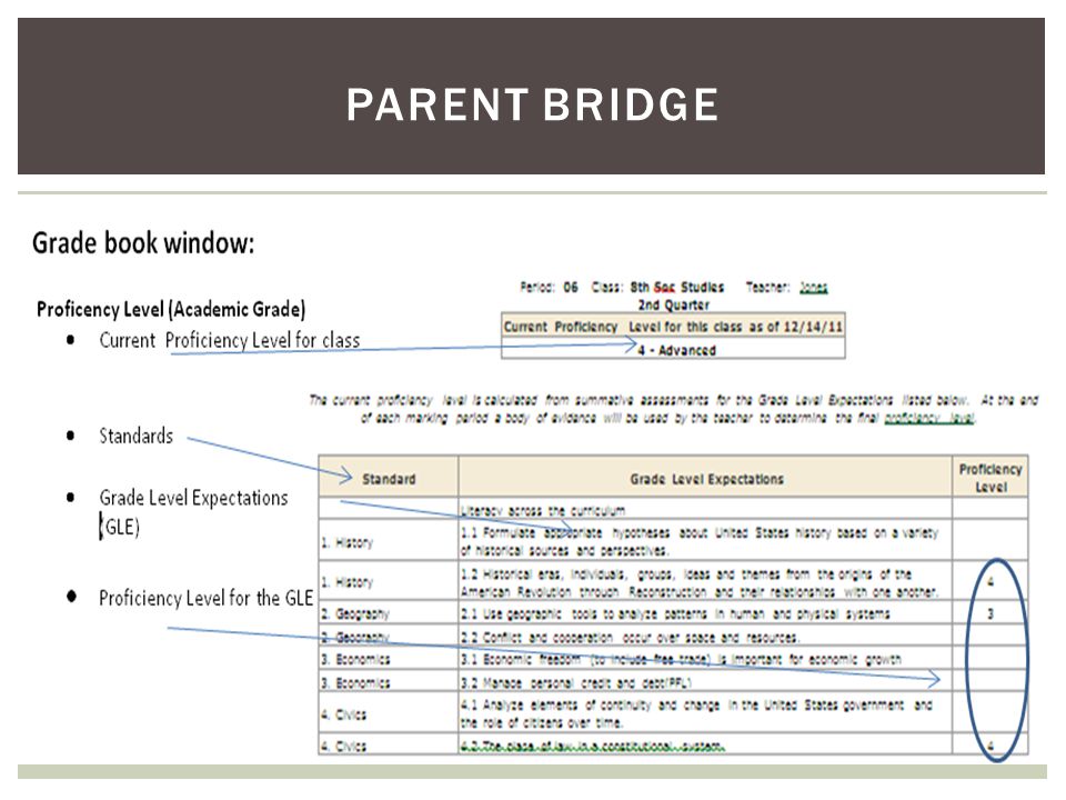 PARENT BRIDGE 12