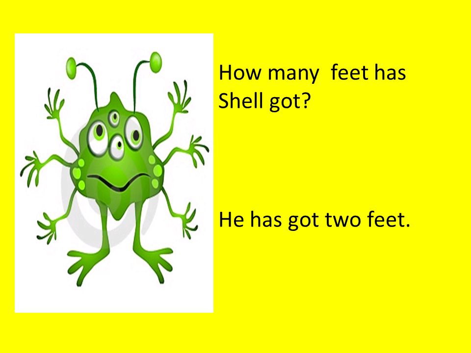 How many feet has Shell got He has got two feet.