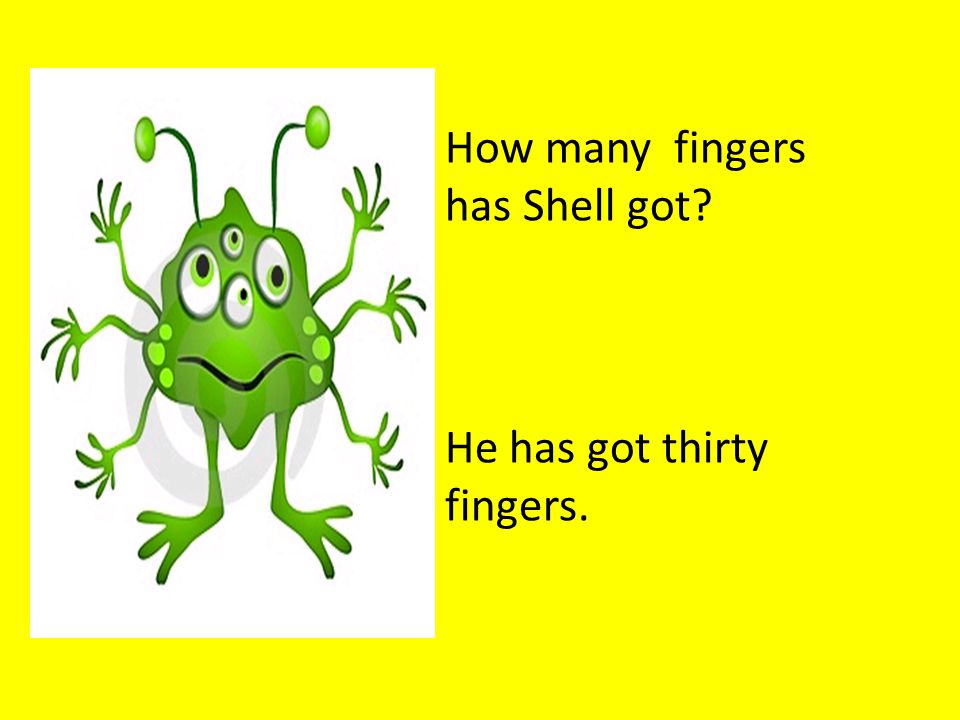 How many fingers has Shell got He has got thirty fingers.