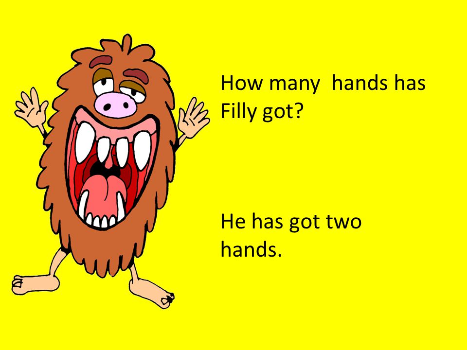 How many hands has Filly got He has got two hands.