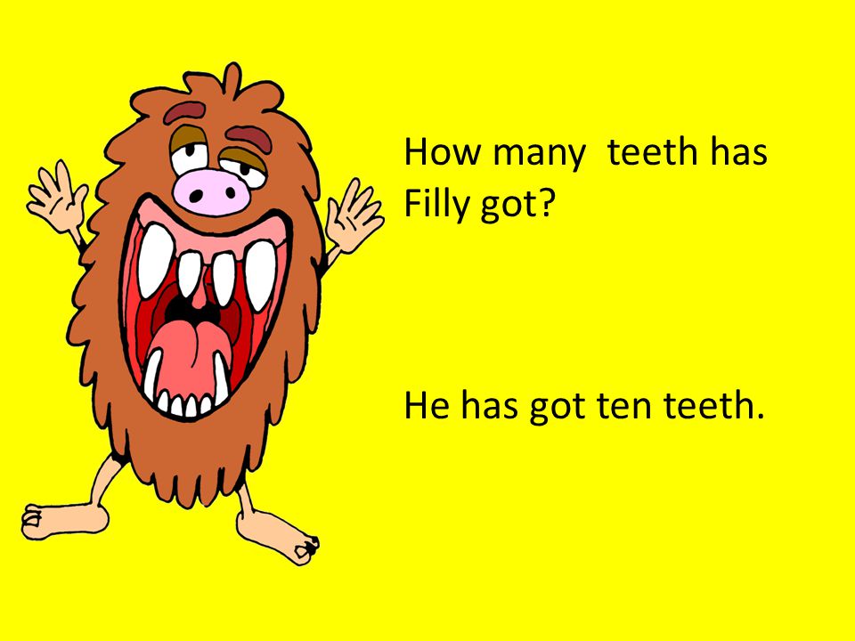 How many teeth has Filly got He has got ten teeth.