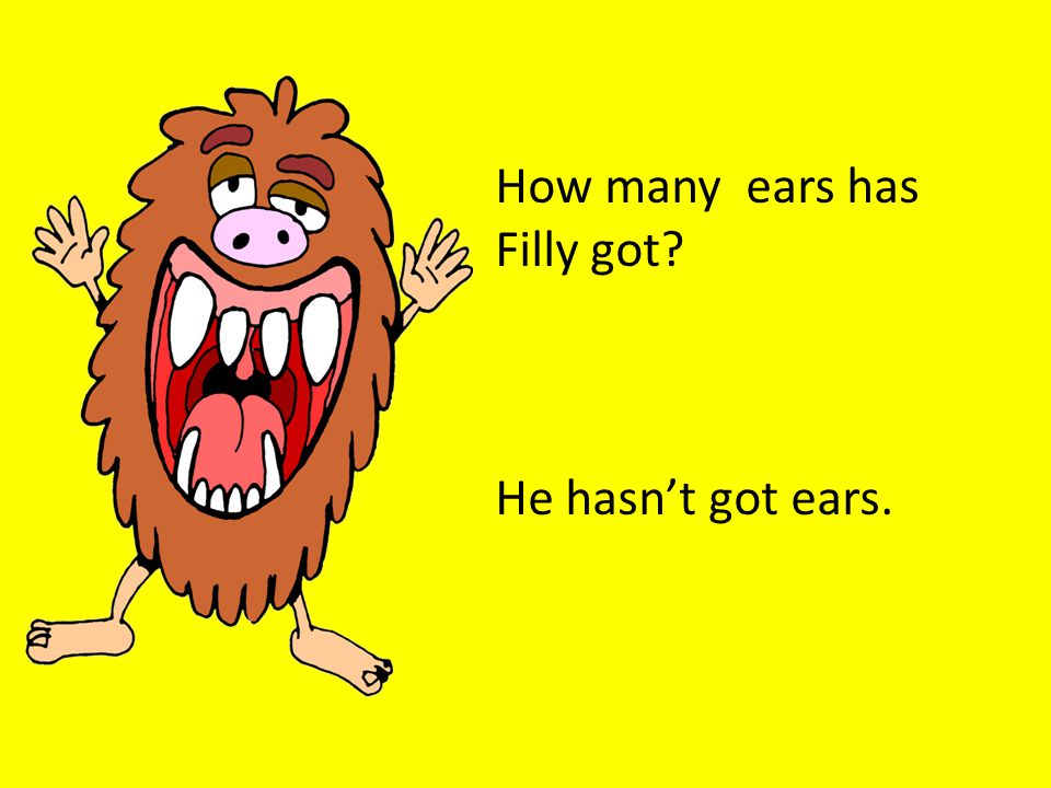 How many ears has Filly got He hasn’t got ears.