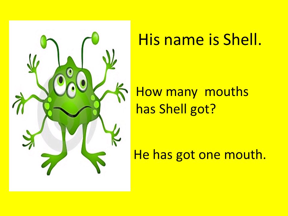 His name is Shell. How many mouths has Shell got He has got one mouth.