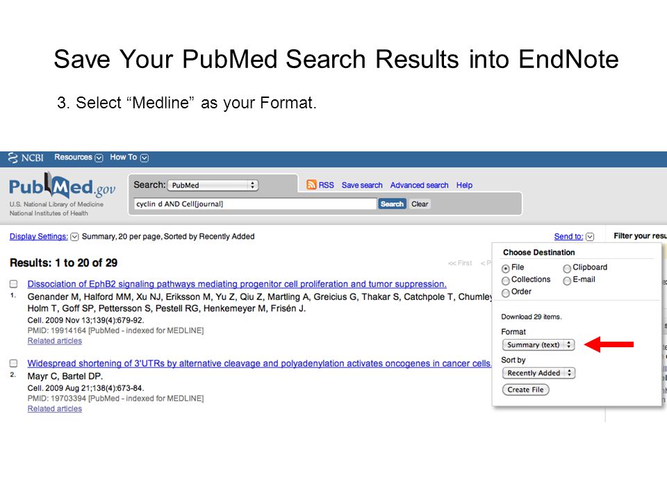How Do You Save Your Pubmed Search Results Into An Endnote Library