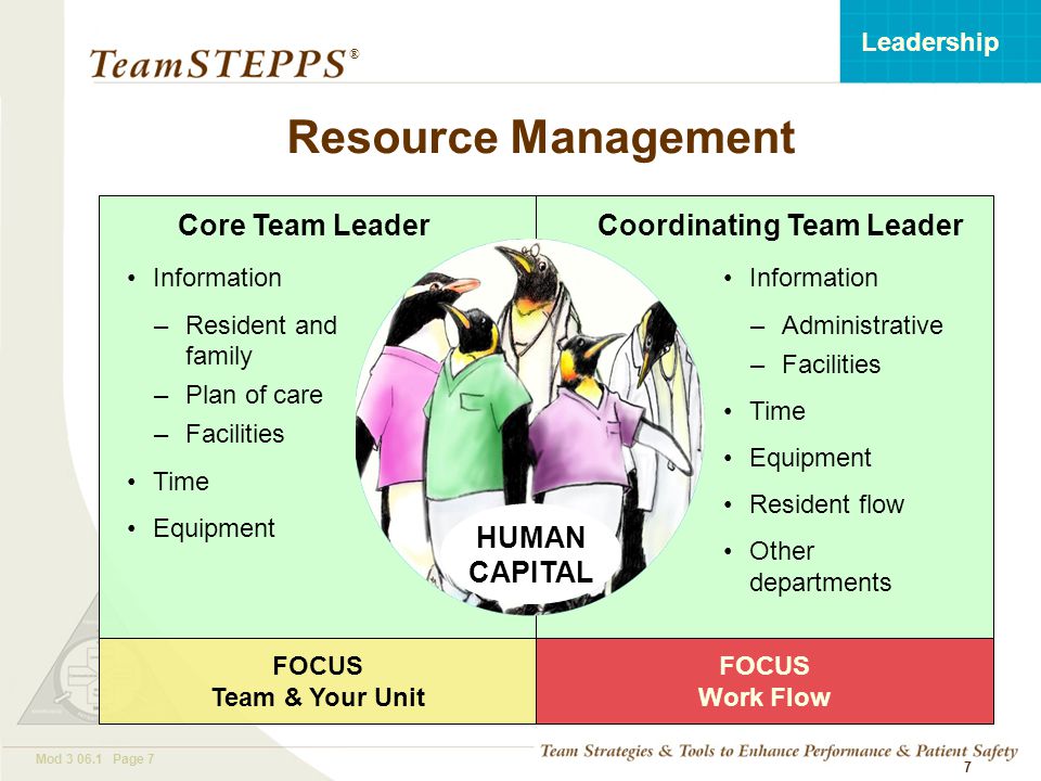 T EAM STEPPS 05.2 Mod Page 7 Leadership ® 7 Core Team Leader Information –Resident and family –Plan of care –Facilities Time Equipment Information –Administrative –Facilities Time Equipment Resident flow Other departments Coordinating Team Leader FOCUS Team & Your Unit FOCUS Work Flow Resource Management HUMAN CAPITAL