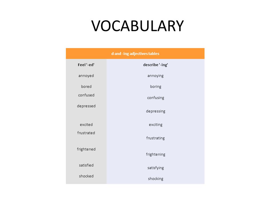 4 c d vocabulary