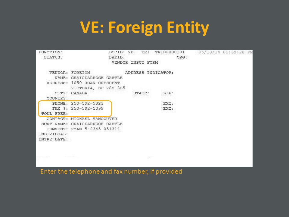 VE: Foreign Entity Enter the telephone and fax number, if provided