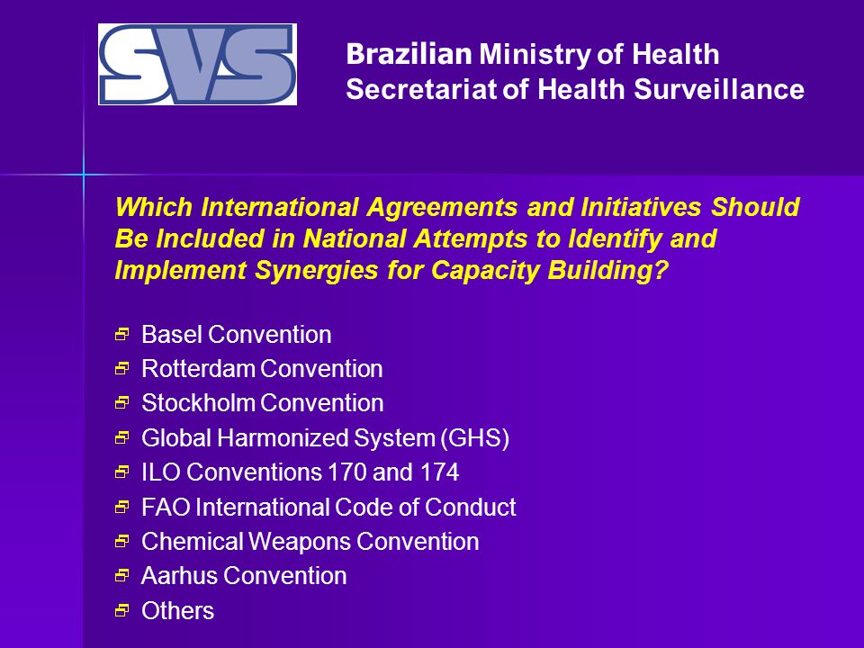 Brazilian Ministry of Health Secretariat of Health Surveillance Which International Agreements and Initiatives Should Be Included in National Attempts to Identify and Implement Synergies for Capacity Building.