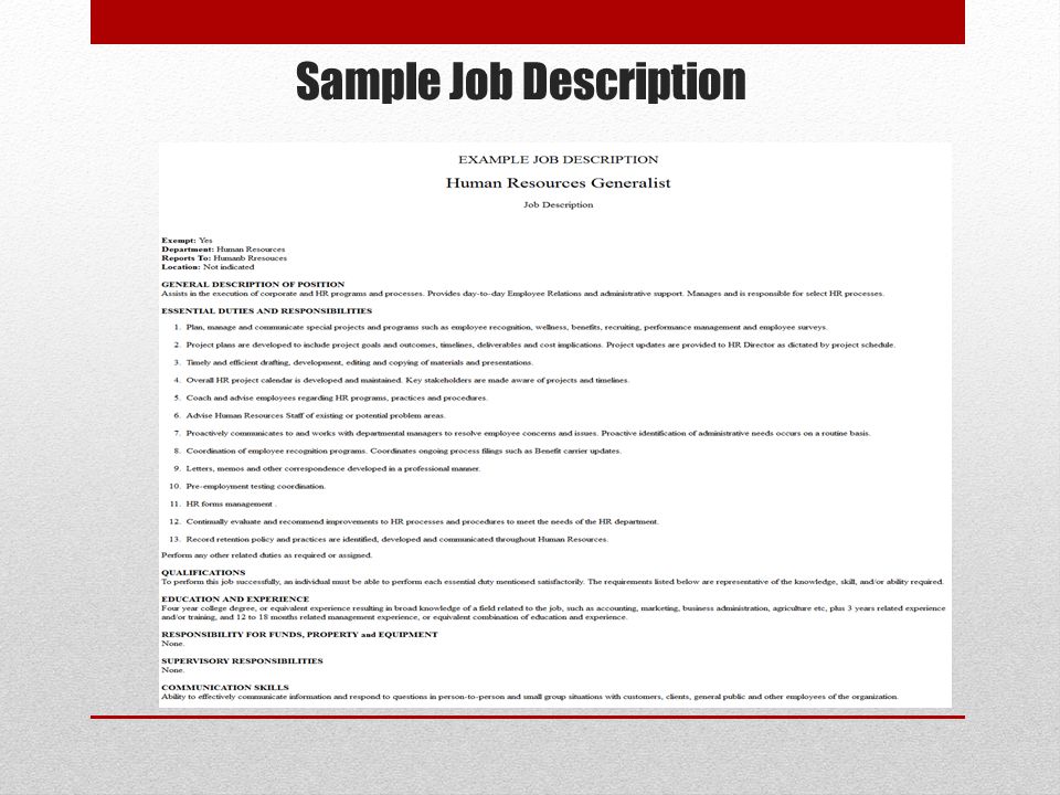 Sample Job Description
