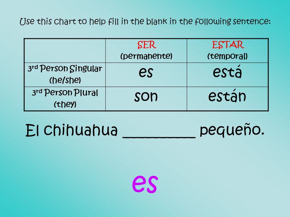 Use this chart to help fill in the blank in the following sentence: El chihuahua __________ pequeño.
