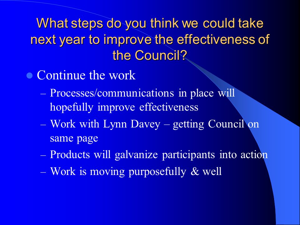 What steps do you think we could take next year to improve the effectiveness of the Council.