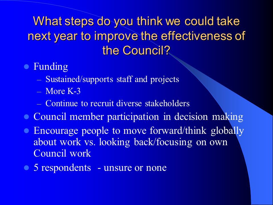 What steps do you think we could take next year to improve the effectiveness of the Council.