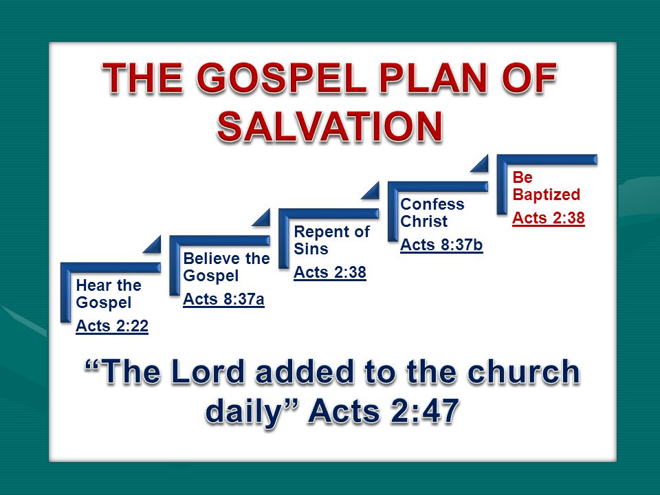 Hear the Gospel Acts 2:22 Believe the Gospel Acts 8:37a Repent of Sins Acts 2:38 Confess Christ Acts 8:37b Be Baptized Acts 2:38