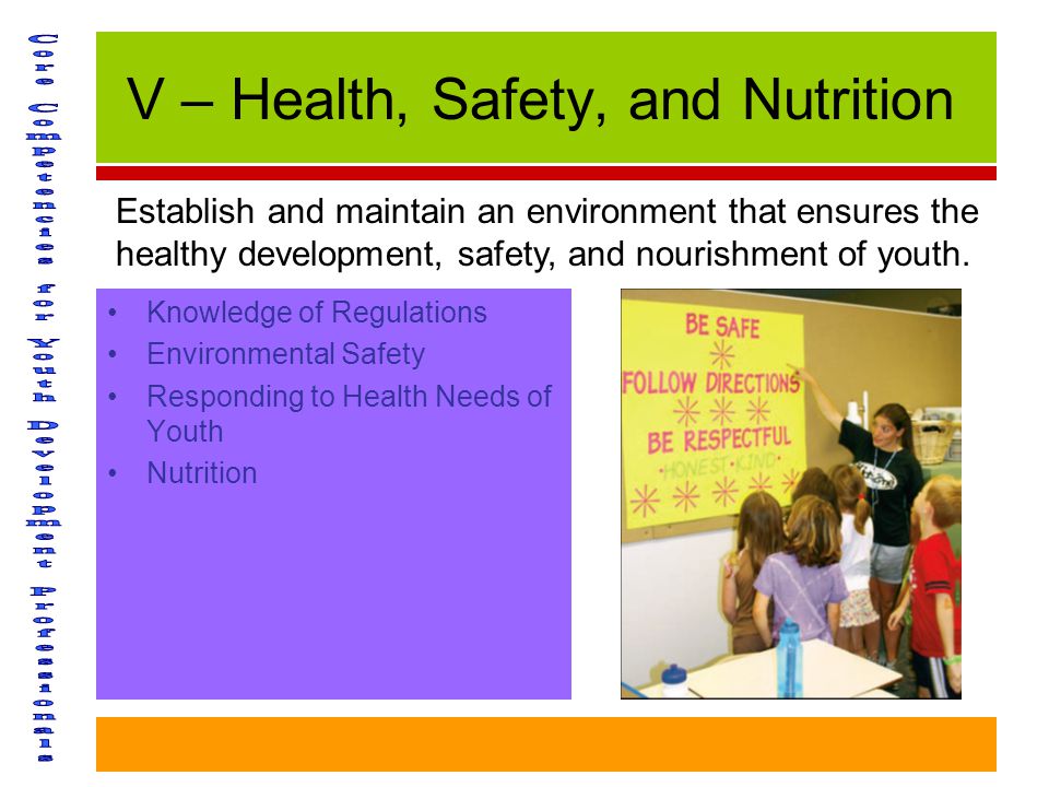 V – Health, Safety, and Nutrition Knowledge of Regulations Environmental Safety Responding to Health Needs of Youth Nutrition Establish and maintain an environment that ensures the healthy development, safety, and nourishment of youth.
