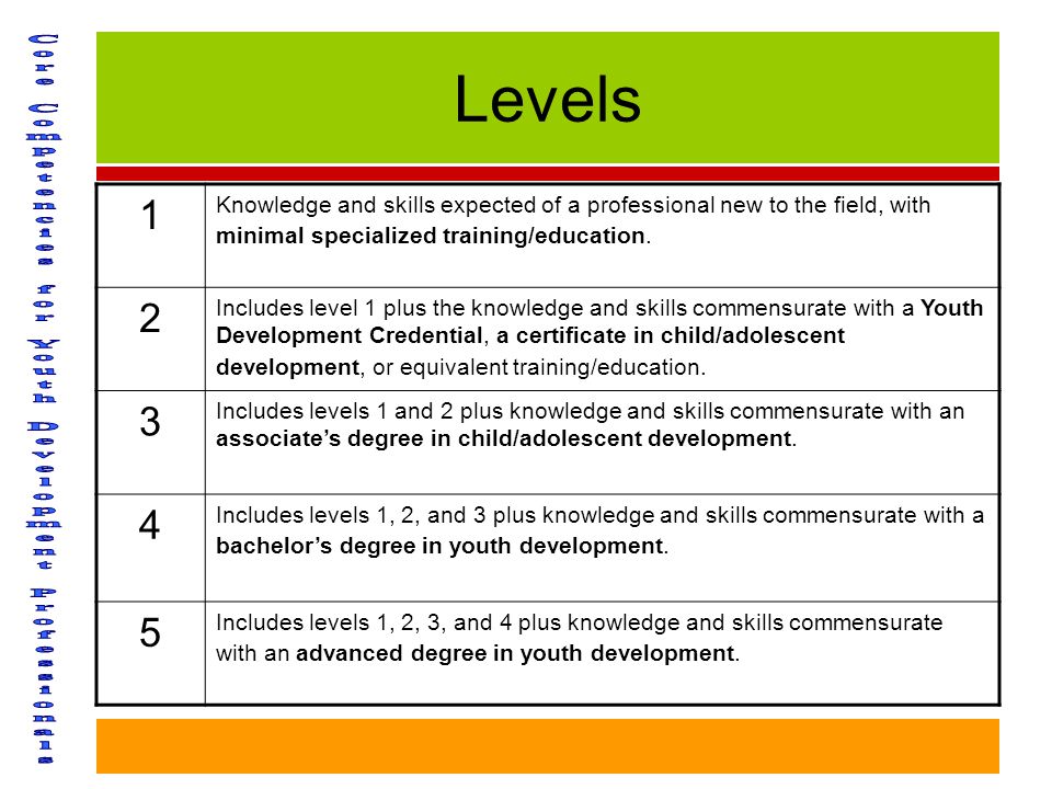 Levels 1 Knowledge and skills expected of a professional new to the field, with minimal specialized training/education.