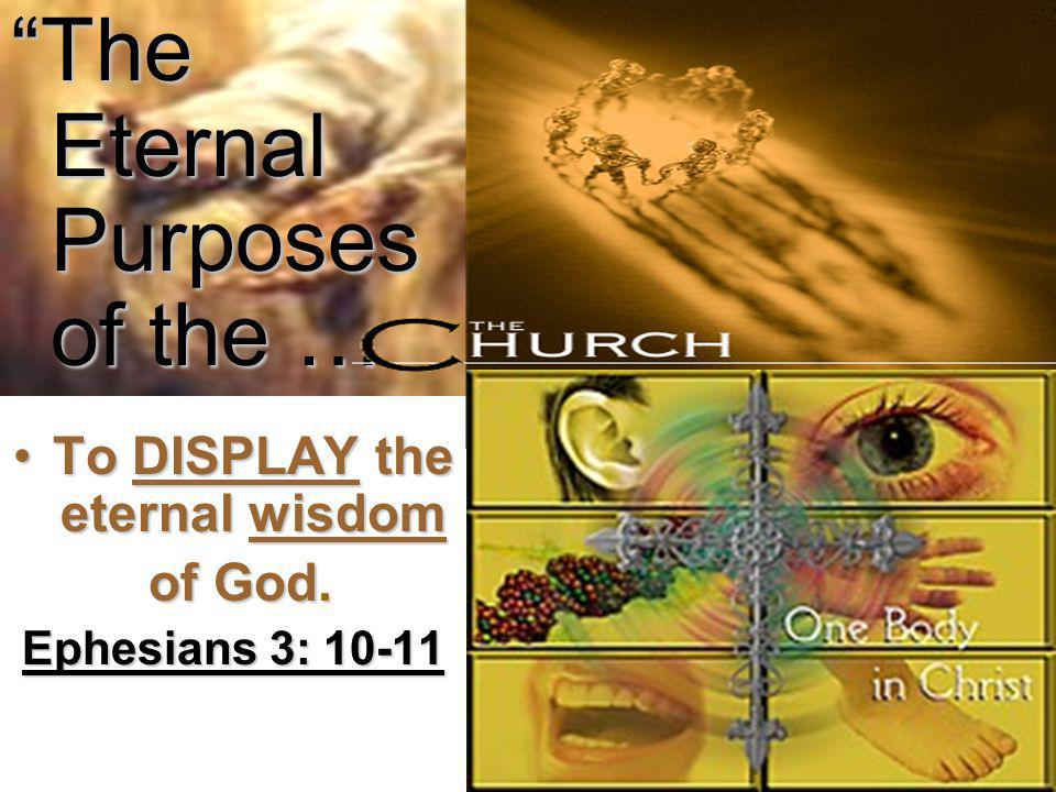 The Eternal Purposes of the … To DISPLAY the eternal wisdomTo DISPLAY the eternal wisdom of God.